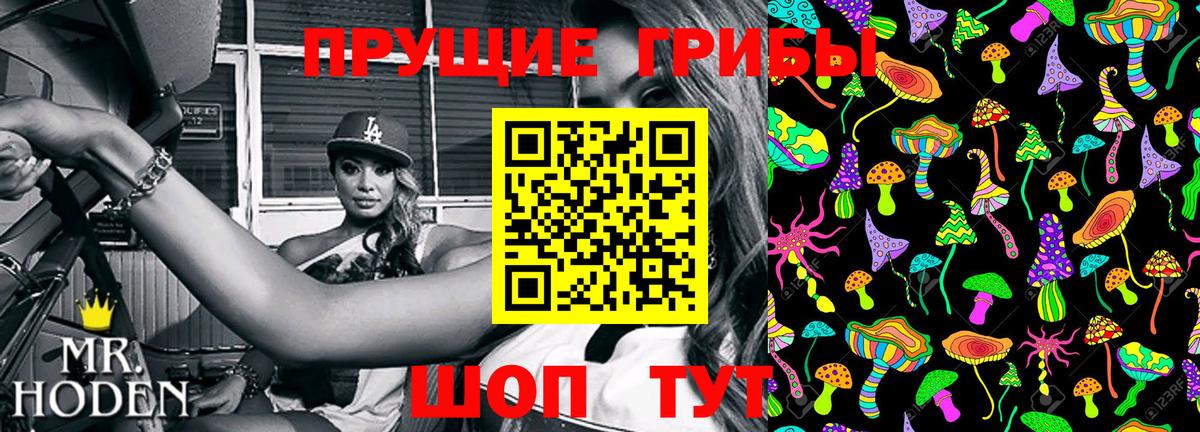 Омск  Псилоцибиновые грибы ЛСД  Вход с VPN 